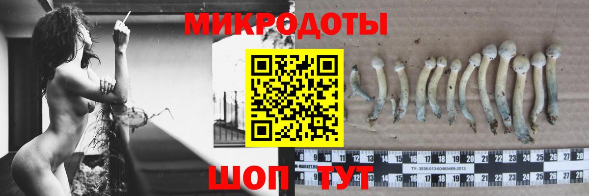 Псилоцибиновые грибы Magic Shrooms  Вход с VPN  Новотроицк  Псилоцибиновые грибы Psilocybe 